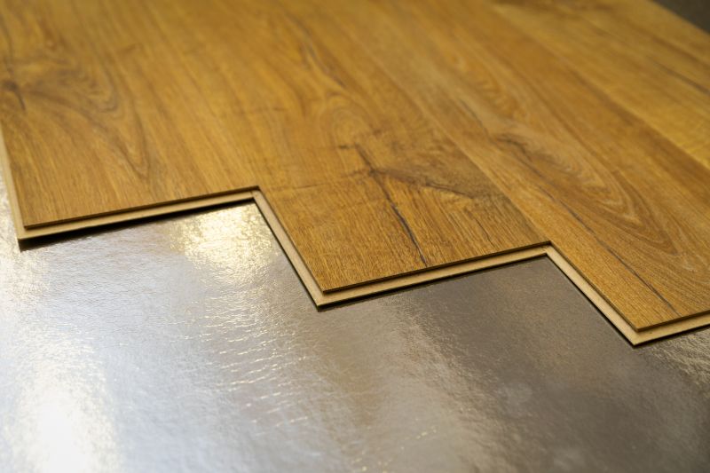 Laminate Floor Replacement in Dagsboro, DE